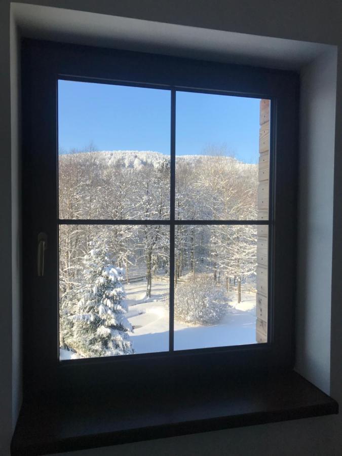 Ubytování U Potoka Destné v Orlických horách Exterior foto
