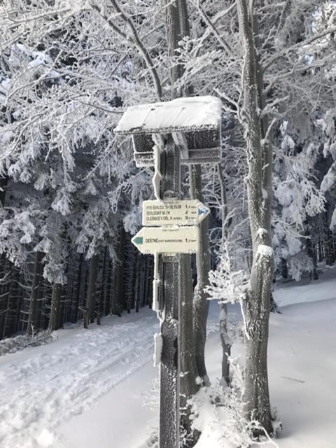 Ubytování U Potoka Destné v Orlických horách Exterior foto