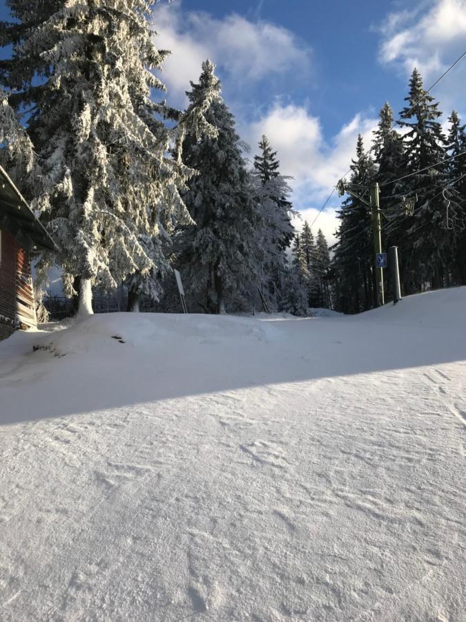 Ubytování U Potoka Destné v Orlických horách Exterior foto